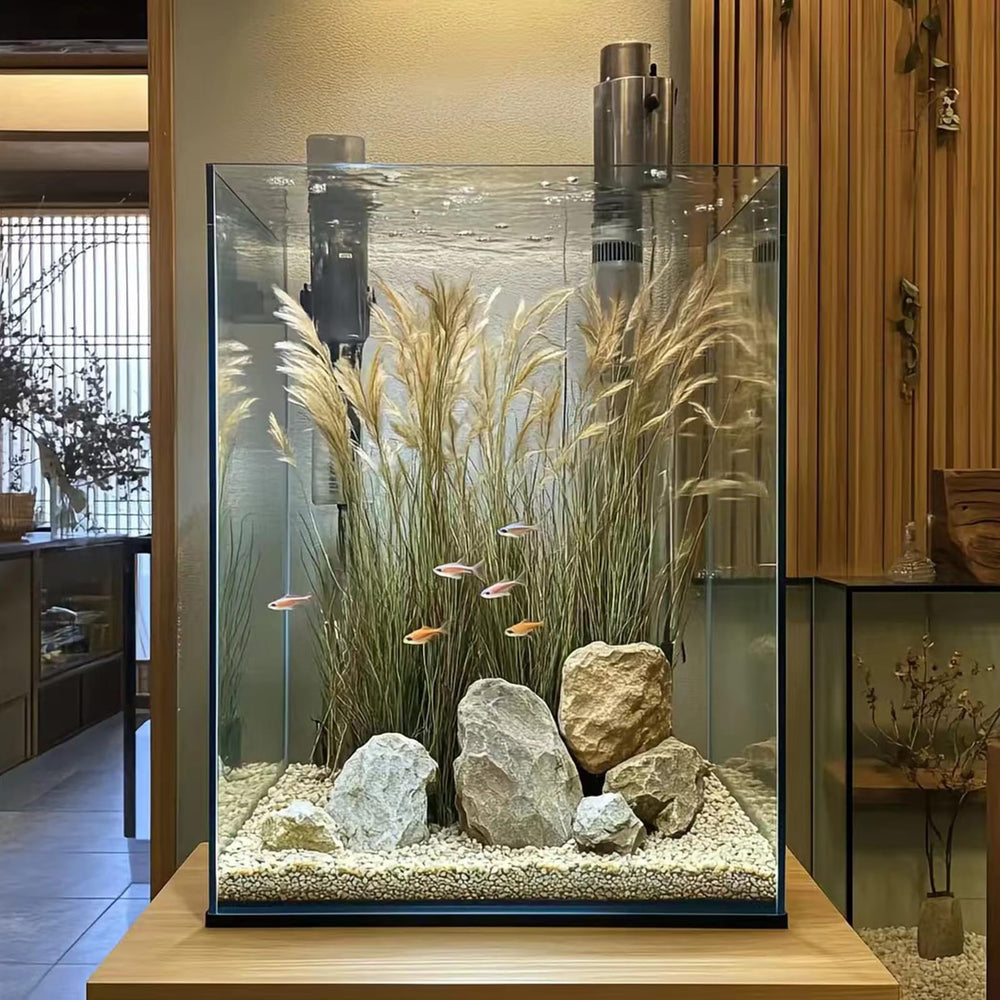 Vimvins eco aquascape tank enabling lush plant growth and life.