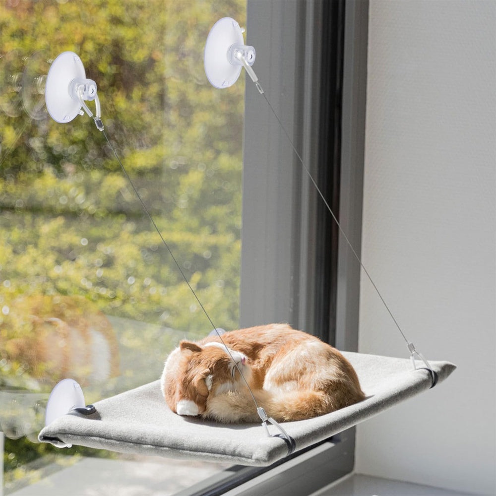 Vin Beauty cat-window-hammock-suction-cups create a cozy, space-saving perch.