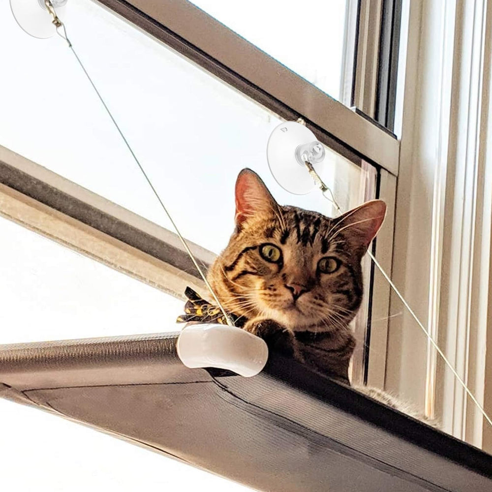 Vin Beauty safe-on-smooth-surfaces-suction-cups maintain secure hold on sleek surfaces.