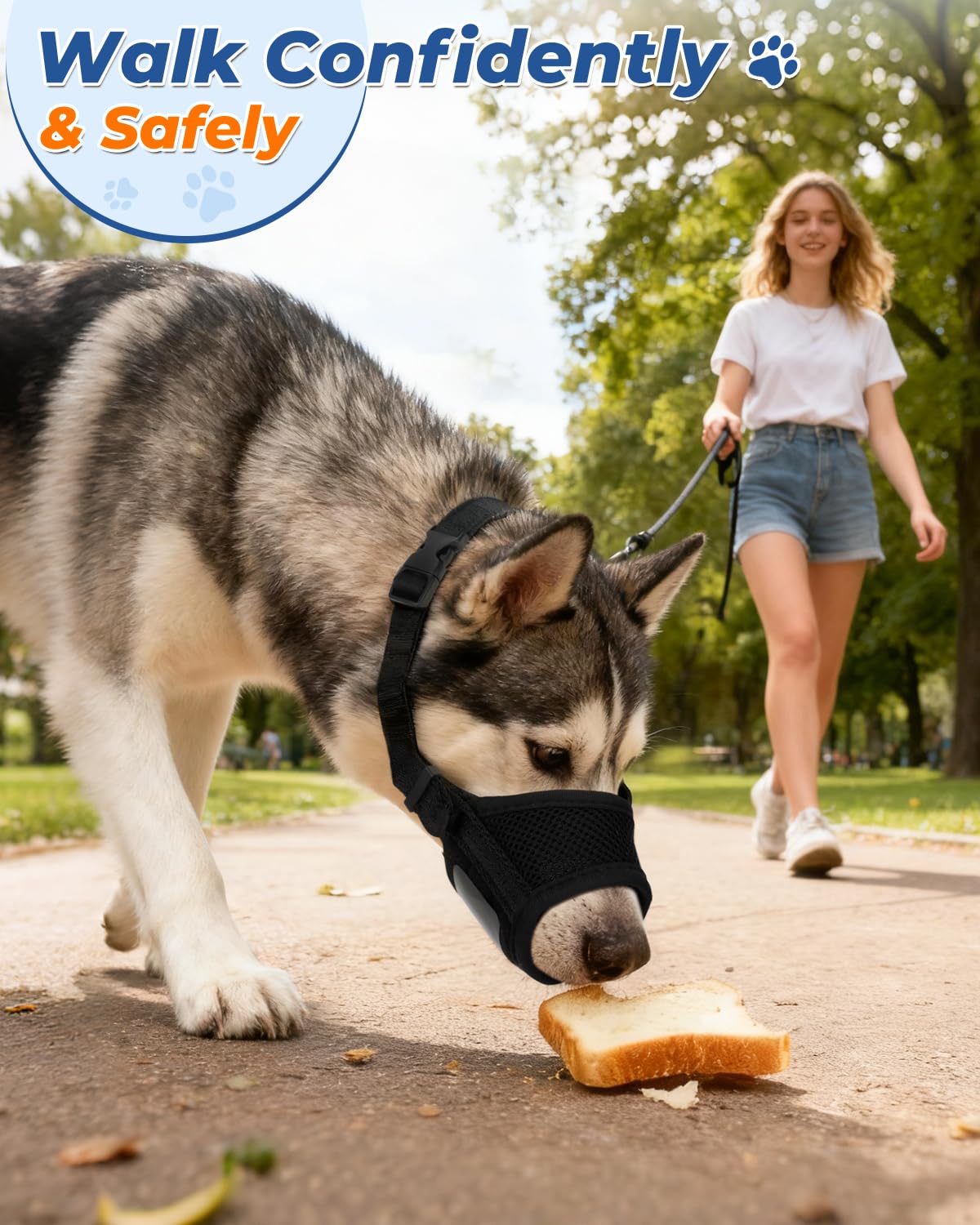 VINCHINI quick-release buckle for easy on-off during busy vet or groom visits.