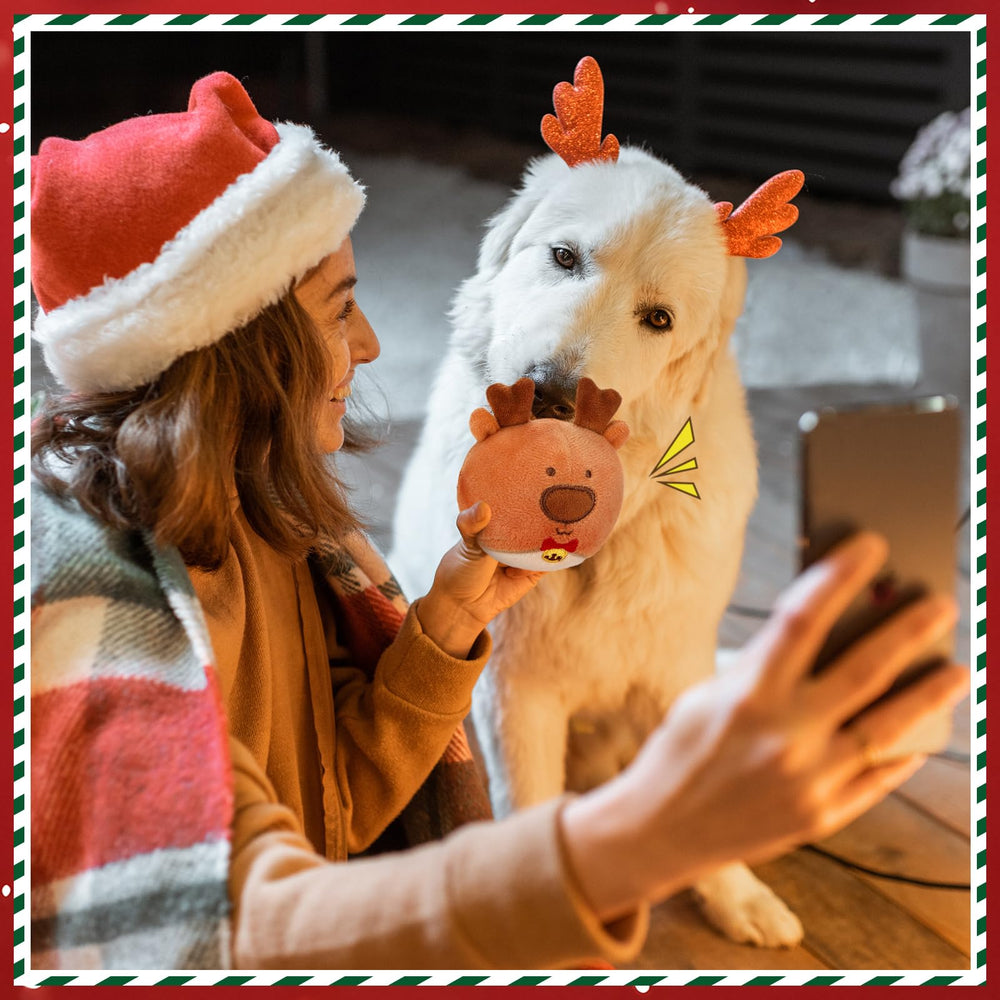 Vinsot Christmas dog toy tree holes—showing treat-hiding for puzzle play