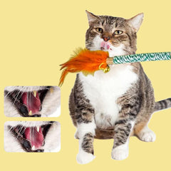 Vintage & Haven silvervine sticks being batted by a curious kitten for interactive play