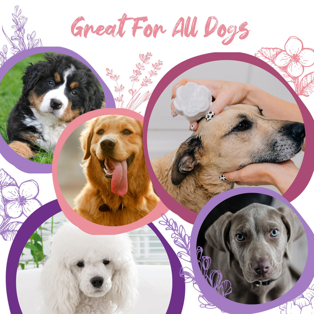 Viori Pawson bar with Alaskan Glacial Clay adds shine and texture