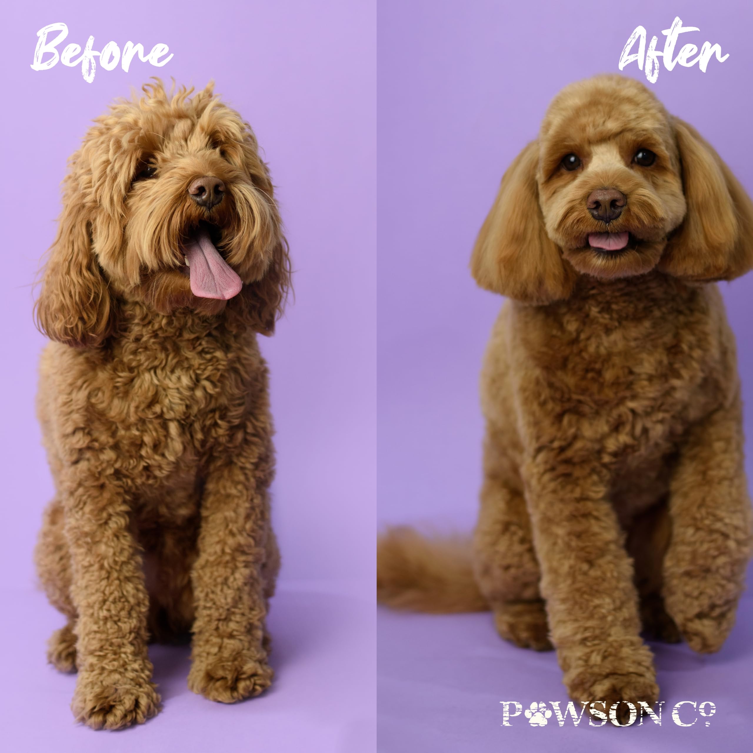 Viori Pawson shampoo bar in use delivering easy gentle massage