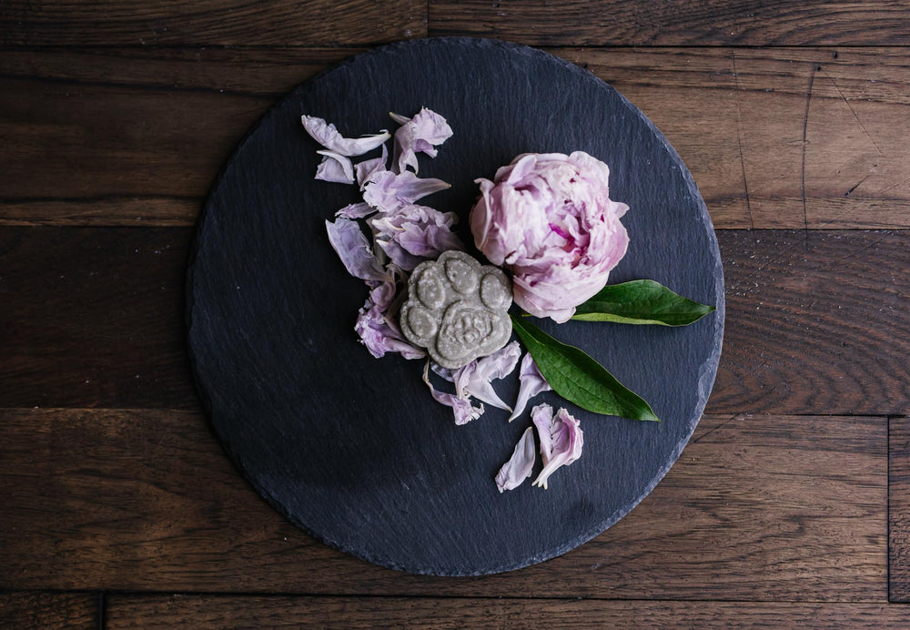 Viori Pawson coat close-up shows lively coat ready to play