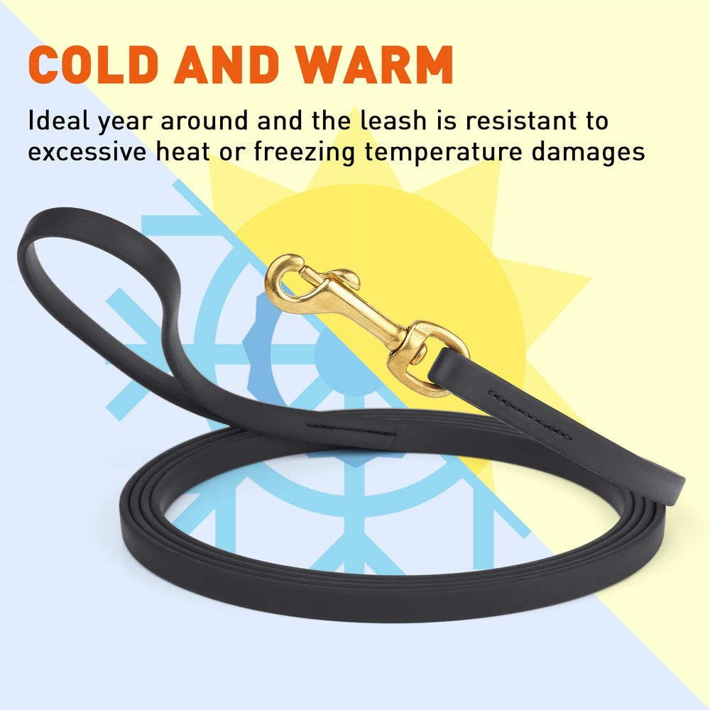 Viper Biothane leash brass hardware close-up, rust resistance.