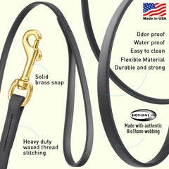 Viper Biothane leash with brass hardware close-up, rust-resistant performance.