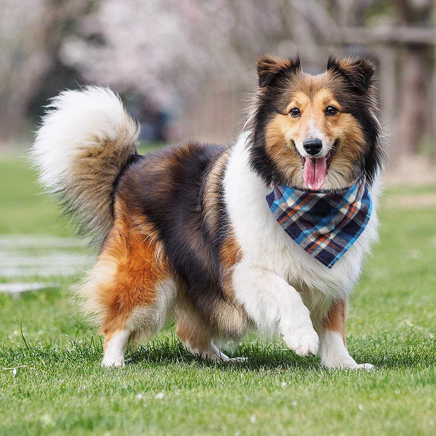 VIPITH adjustable triangle size offers comfortable fit for small and medium pets