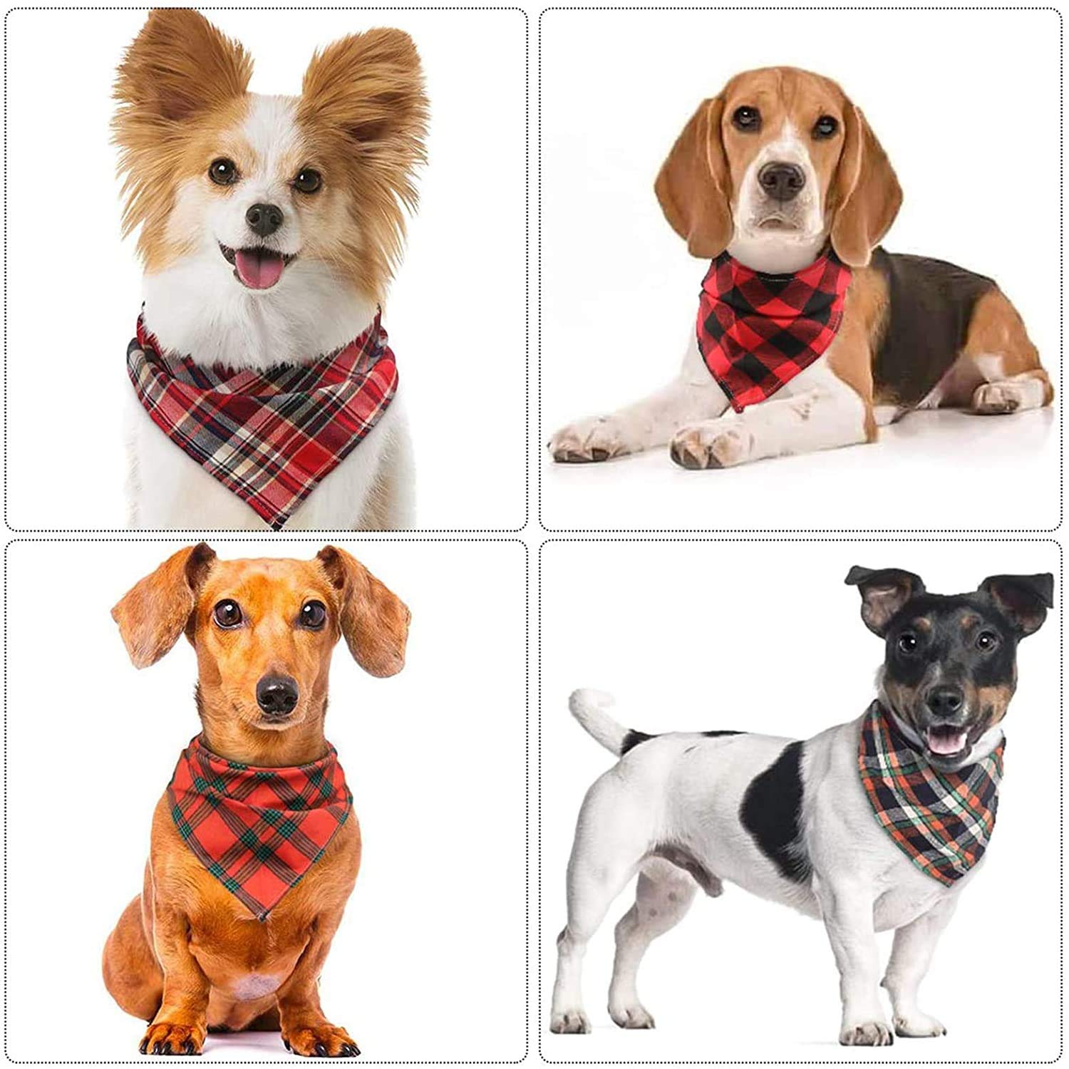 VIPITH plaid-pattern collage emphasizes eight options for varied festive occasions