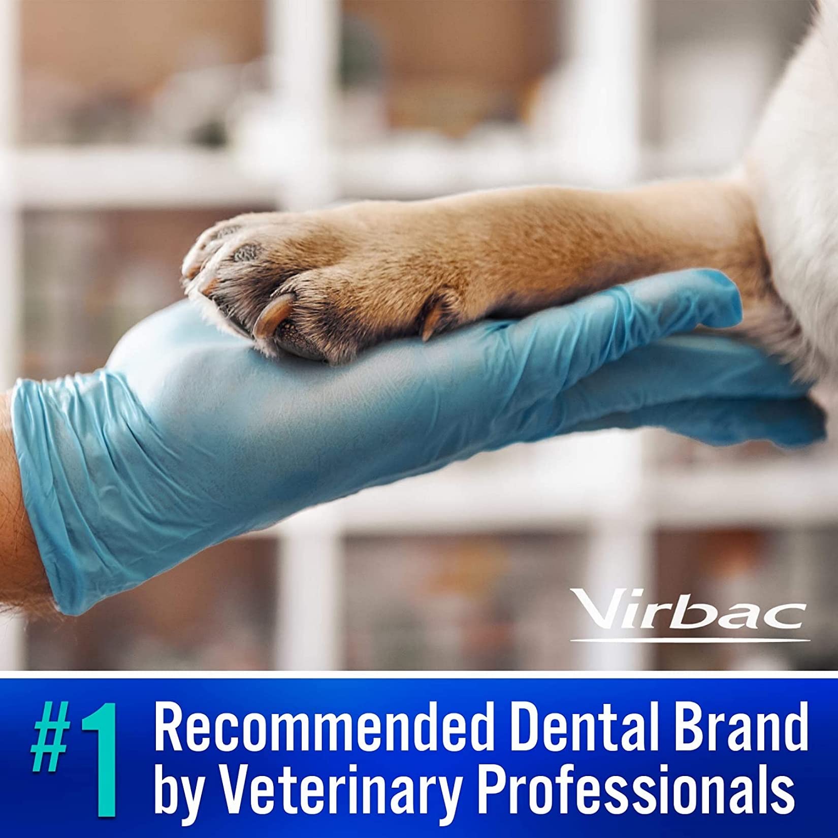 Virbac C.E.T. enzymatic chews medium dog daily-use routine