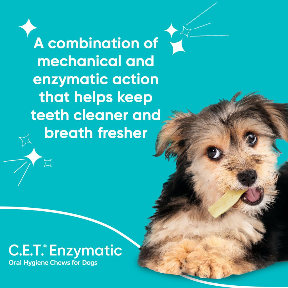 Virbac C.E.T. large chew pack in hand suggests convenient dental care
