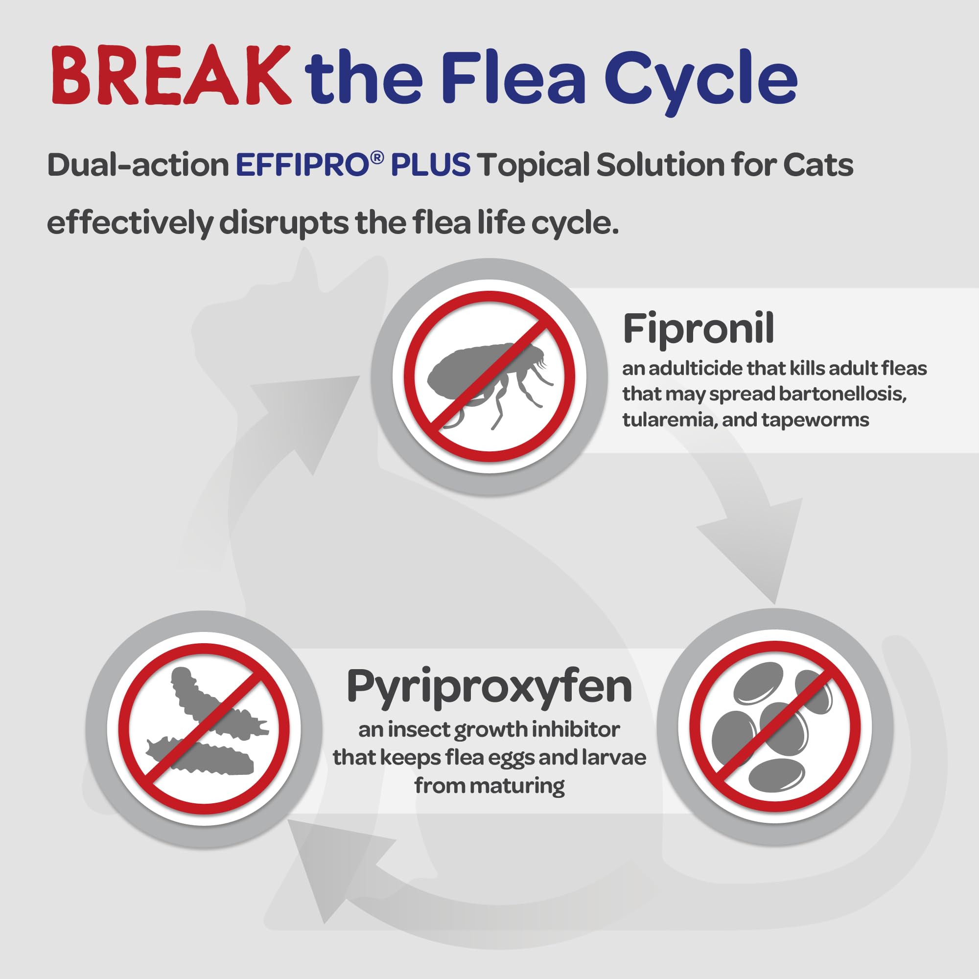 Virbac Effipro Plus targets fleas, ticks, and lice on cats.