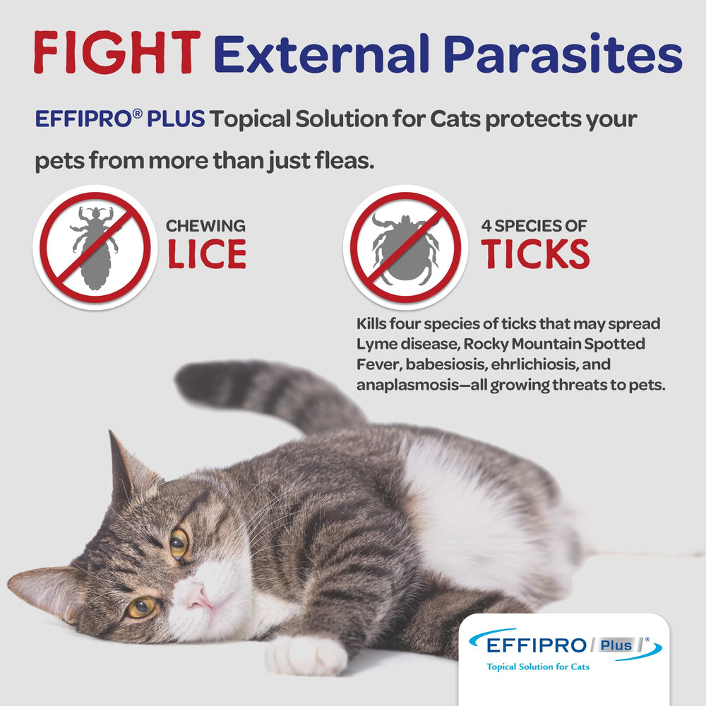Virbac Effipro Plus non-expiry label shown on packaging.