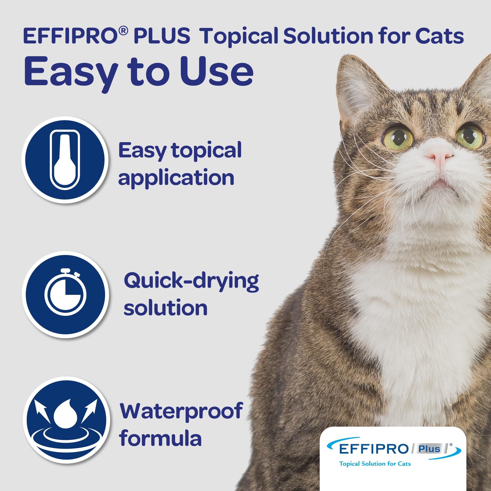 Virbac Effipro Plus three-month supply packaging.