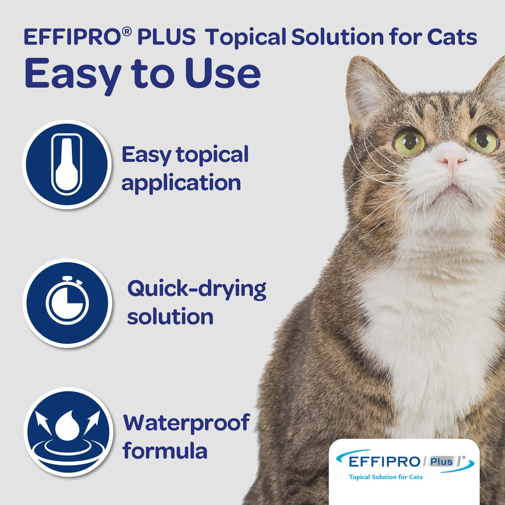 Virbac Effipro Plus three-month supply packaging.