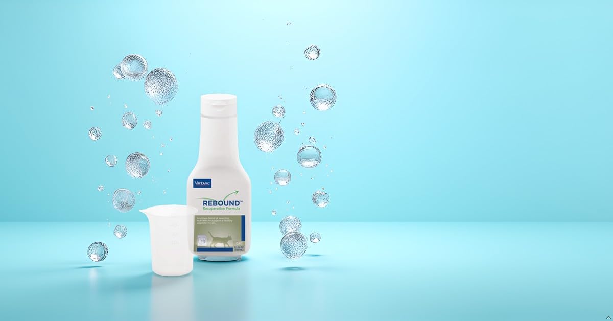 Virbac Rebound liquid administration shows easy dosing for cats to support recovery.