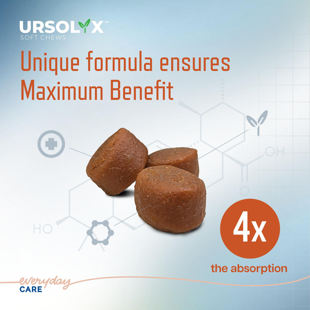 Virbac URSOLYX Soft Chews with absorption-focused formulation for better uptake.