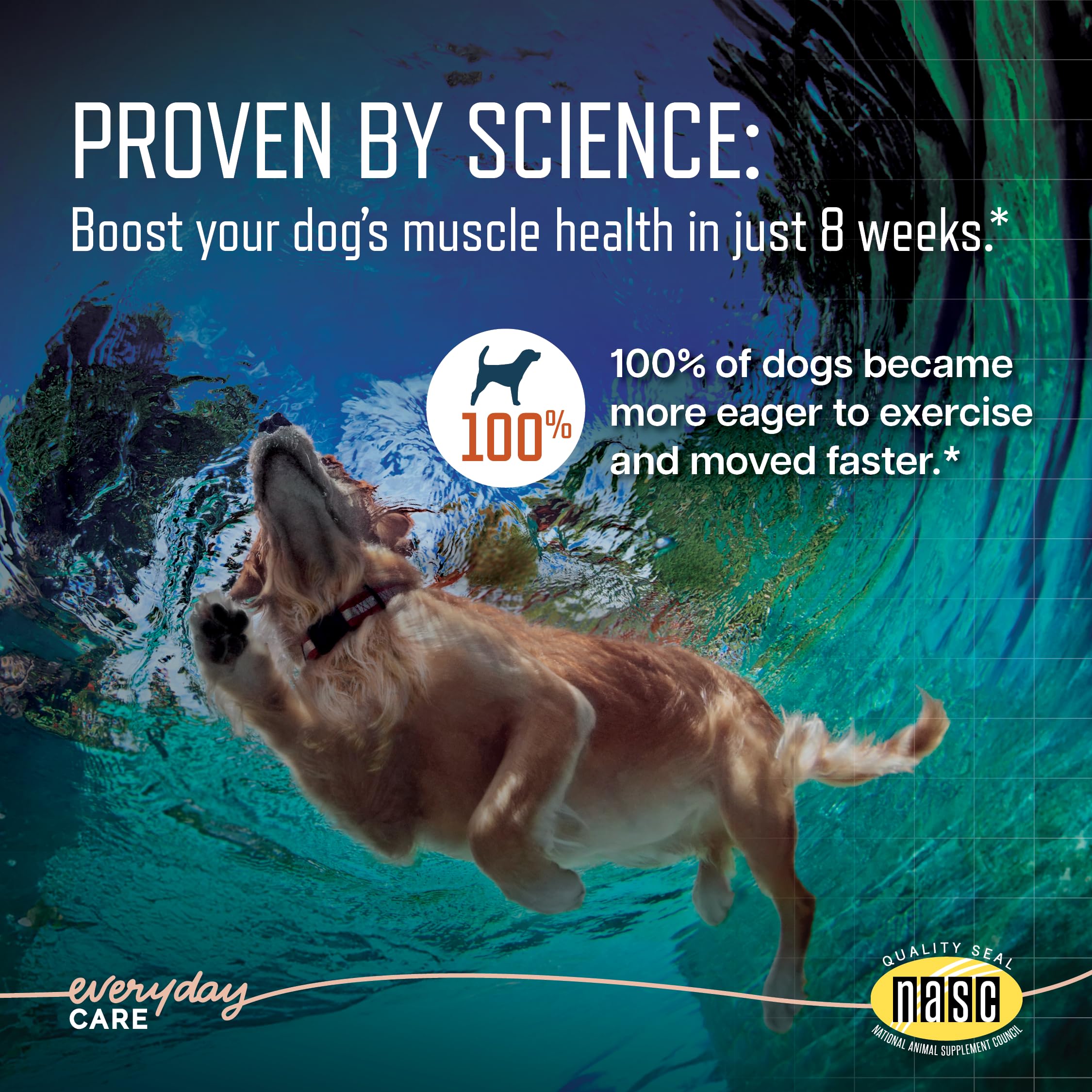 Virbac URSOLYX Soft Chews shown for simple once-daily dosing.