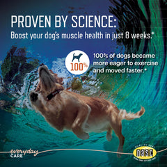 Virbac URSOLYX Soft Chews shown for simple once-daily dosing.
