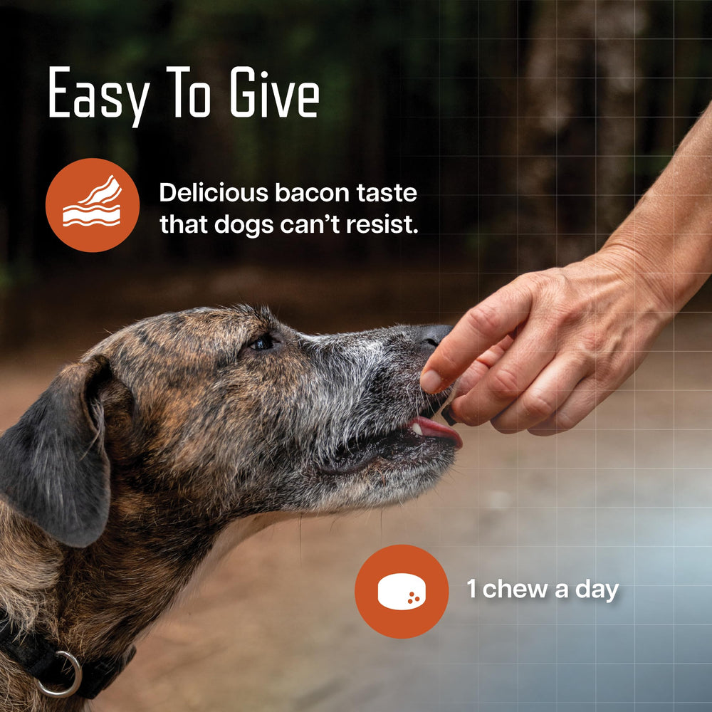 Virbac URSOLYX Soft Chews providing muscle-support to keep dogs active.