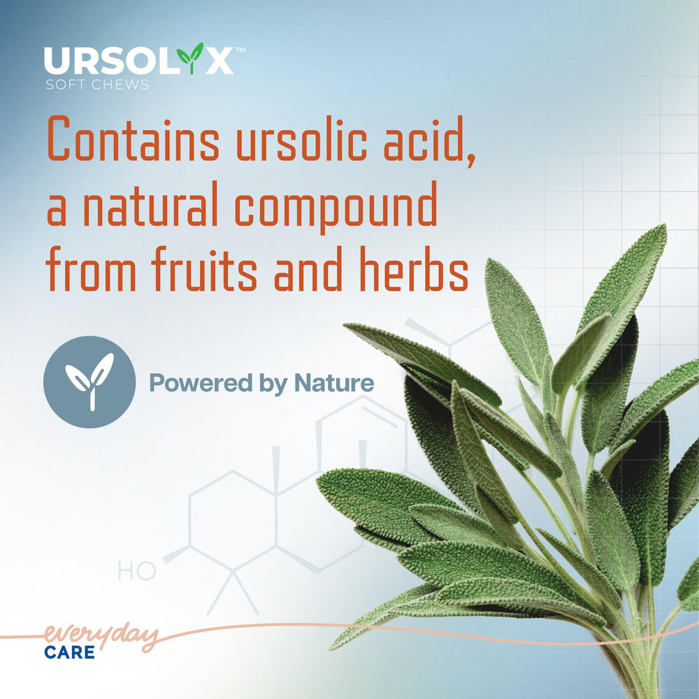Virbac URSOLYX Soft Chews aiding senior-dog mobility during routine activities.