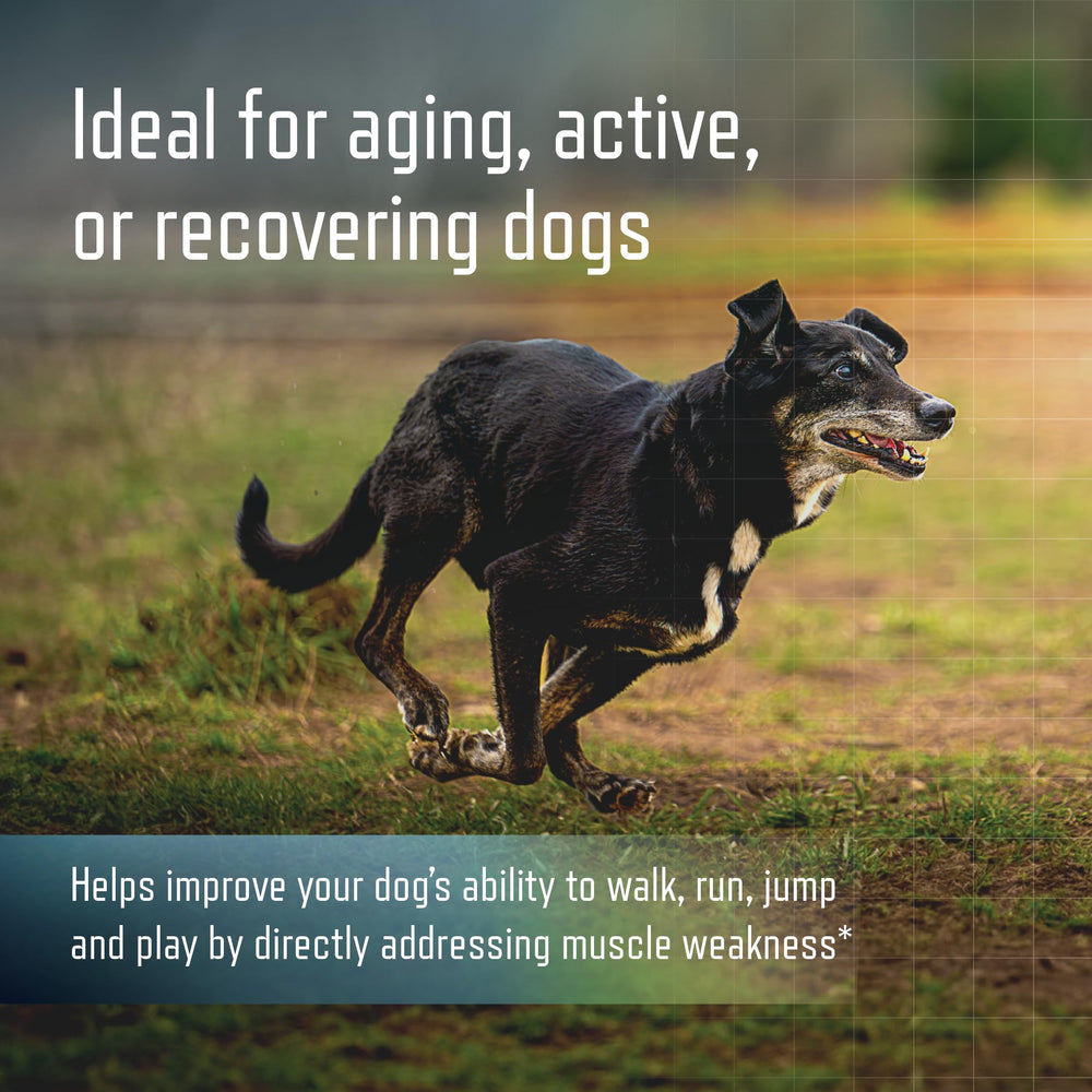 Virbac URSOLYX Soft Chews designed for small dogs up to 30lbs with tailored dosing.