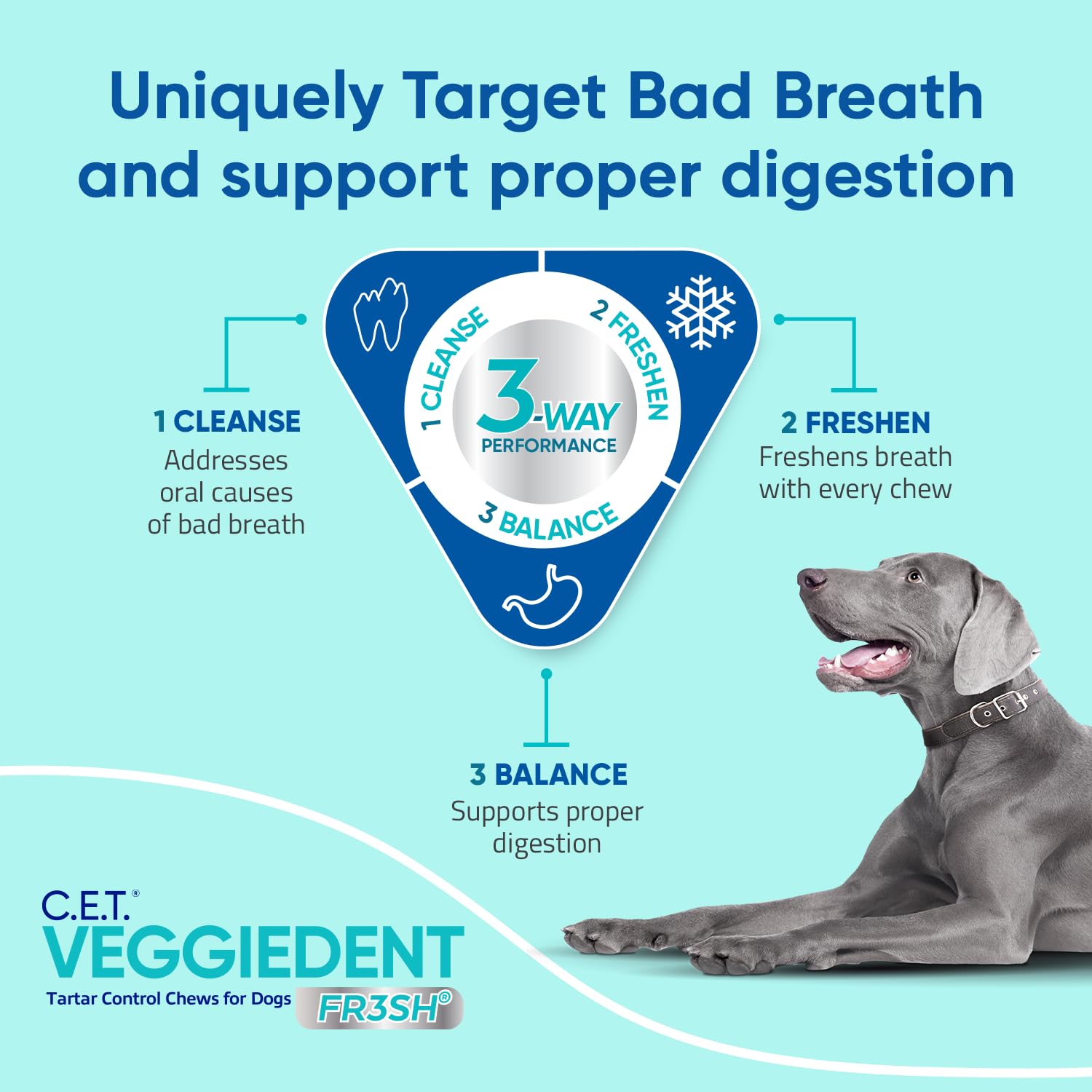 Virbac Veggiedent FR3SH packaging shot communicates VOHC-approved tartar control
