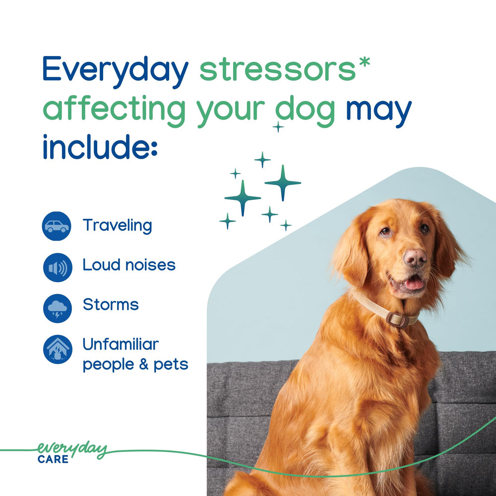 Virbac ZENIDOG collar in travel scenario supports calm during trips.