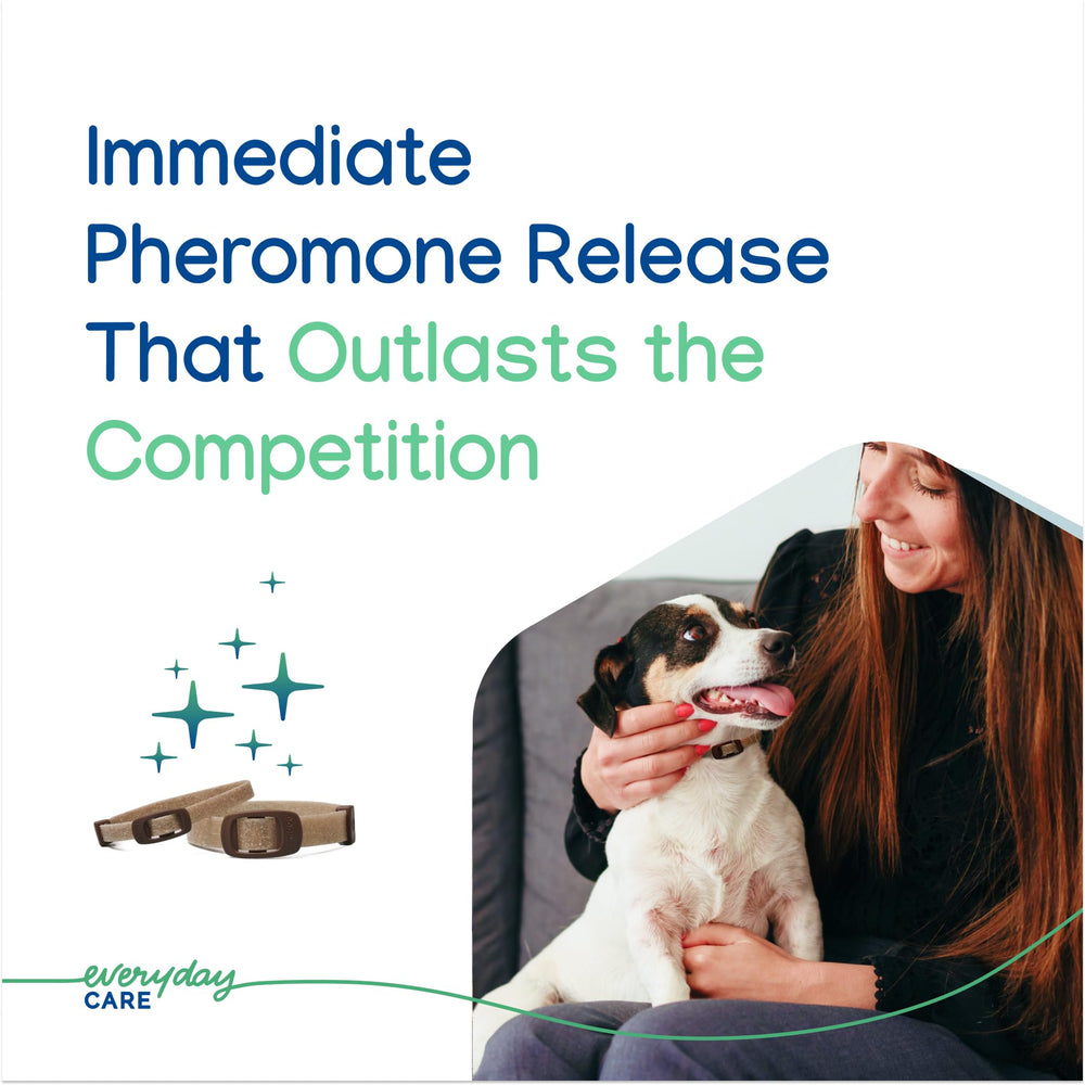 Virbac ZENIDOG collar on dog neck demonstrating calming aid during stress