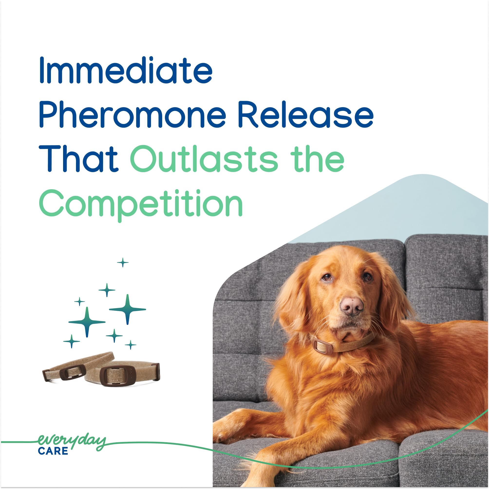 Virbac ZENIDOG collar worn on a dog's neck during a vet visit for stress reduction.