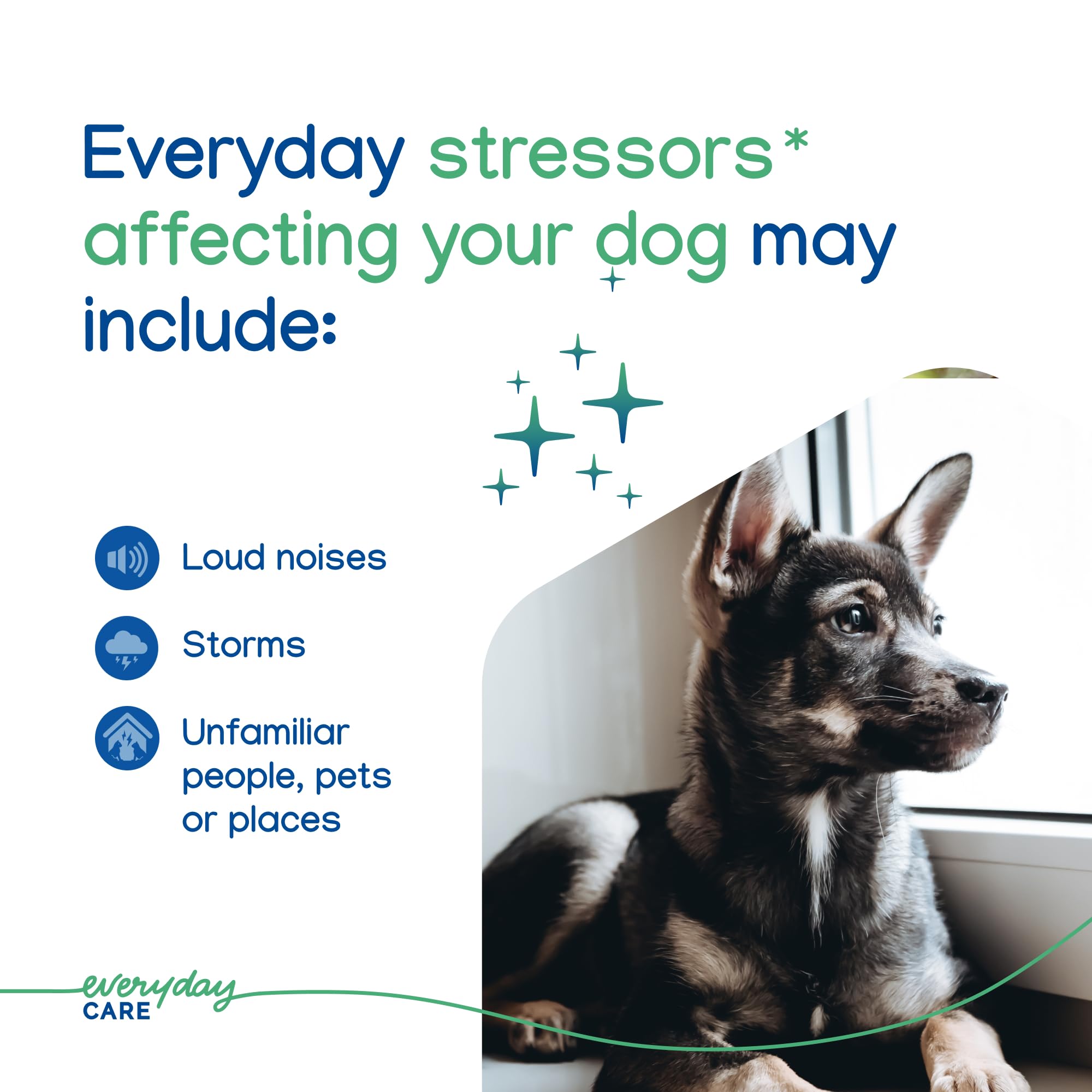 Virbac Zenidog helps a dog show relaxed posture after use.