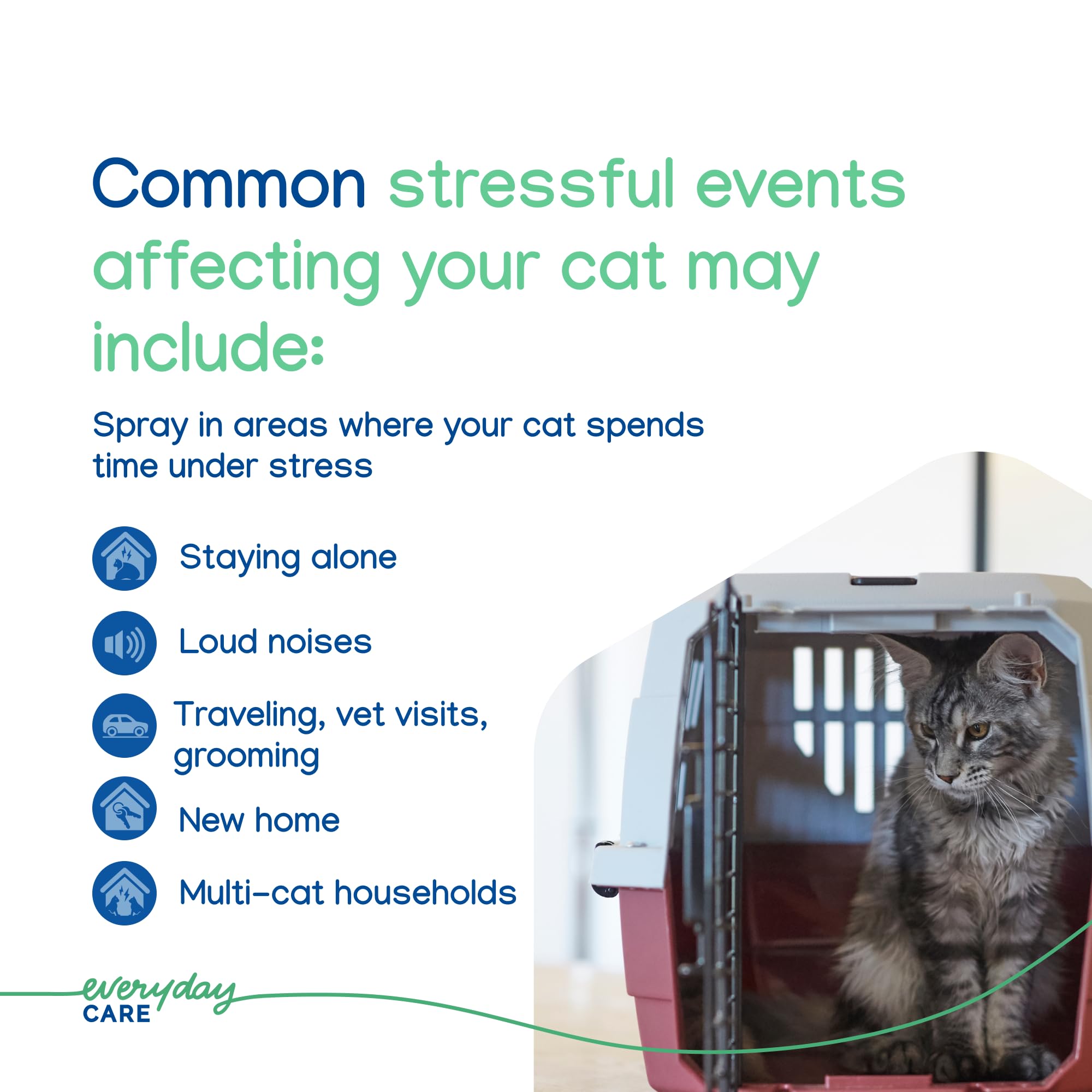 Virbac Zenifel cat spray label detail emphasizing safety and usage notes.