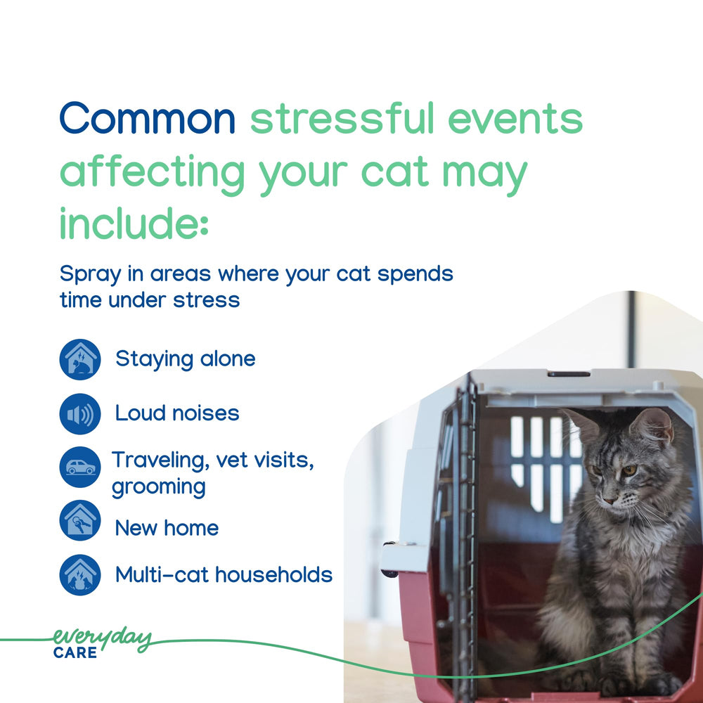 Virbac Zenifel cat spray label detail emphasizing safety and usage notes.