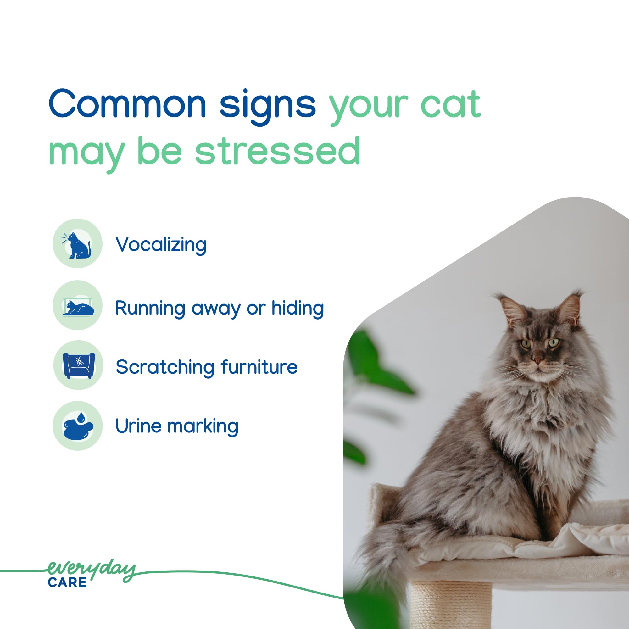 Virbac Zenifel cat spray on-the-go use fits in bag for sudden stress cues.