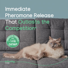 Virbac Zenifel cat spray quick-acting formula shown in action.