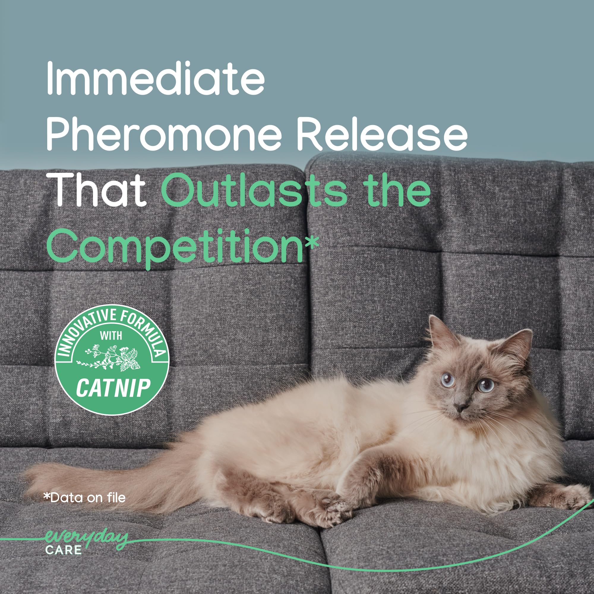 Virbac Zenifel gel diffuser in room demonstrating continuous calming support without electricity