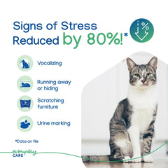 Virbac Zenifel gel diffuser placed near a cat for stress-prone households