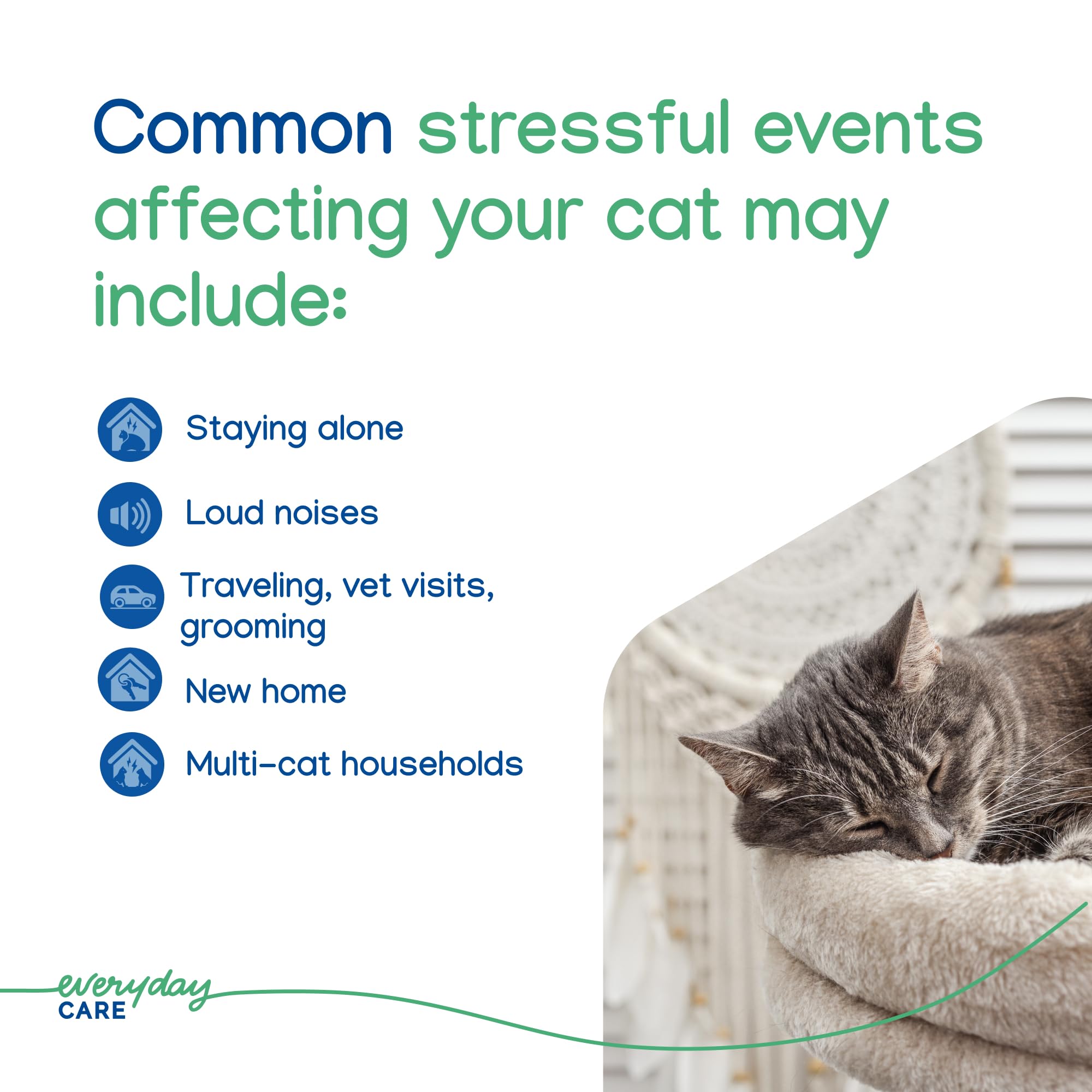 Virbac Zenifel gel diffuser no-electricity setup for convenient plug-free calming