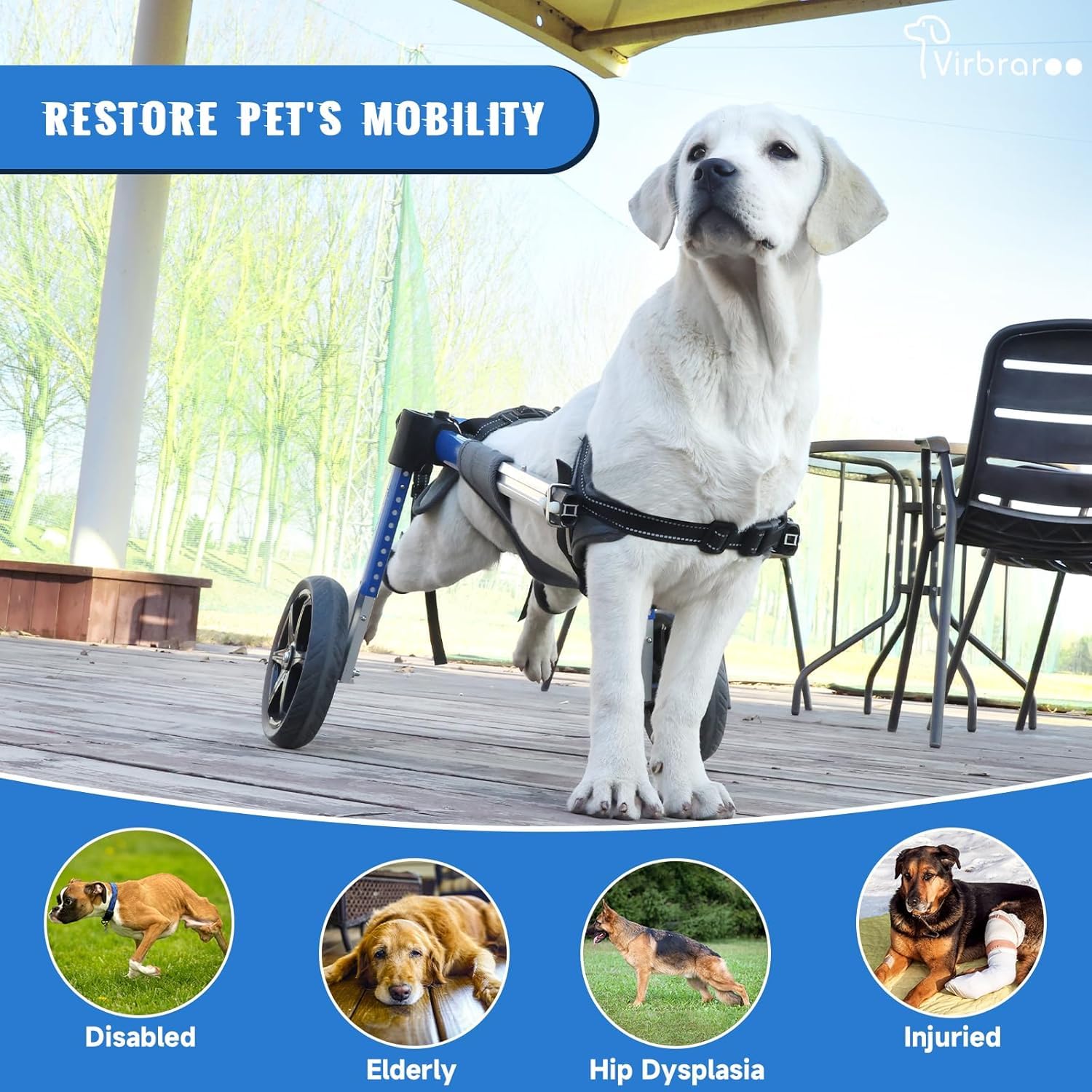 Virbraroo dog wheelchair 5.7-inch all-terrain wheels glide smoothly on surfaces.