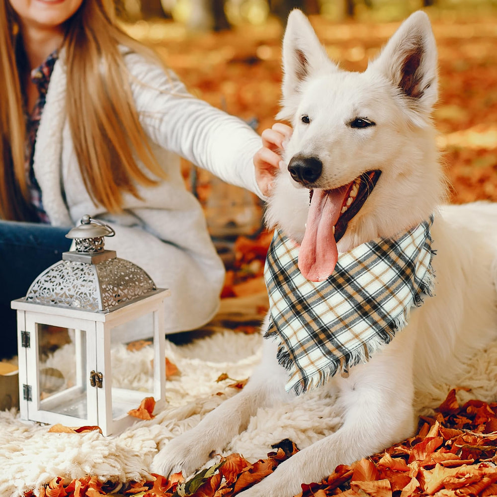 Viretec fall dog bandana durable double-layered fabric for everyday wear.