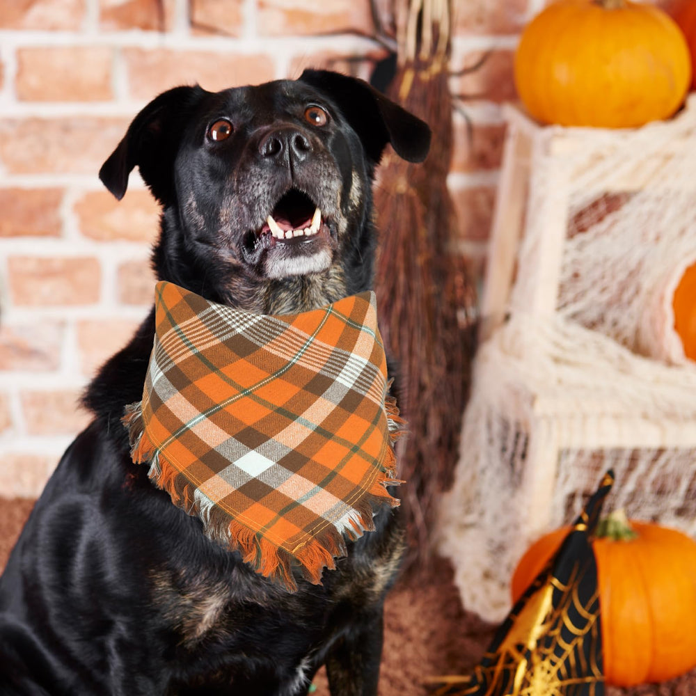 Viretec fall dog bandana easy-care washability preserves color after washing.