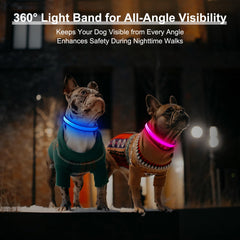 Visinite dog collar with reflective trim boosts visibility even when lights off.