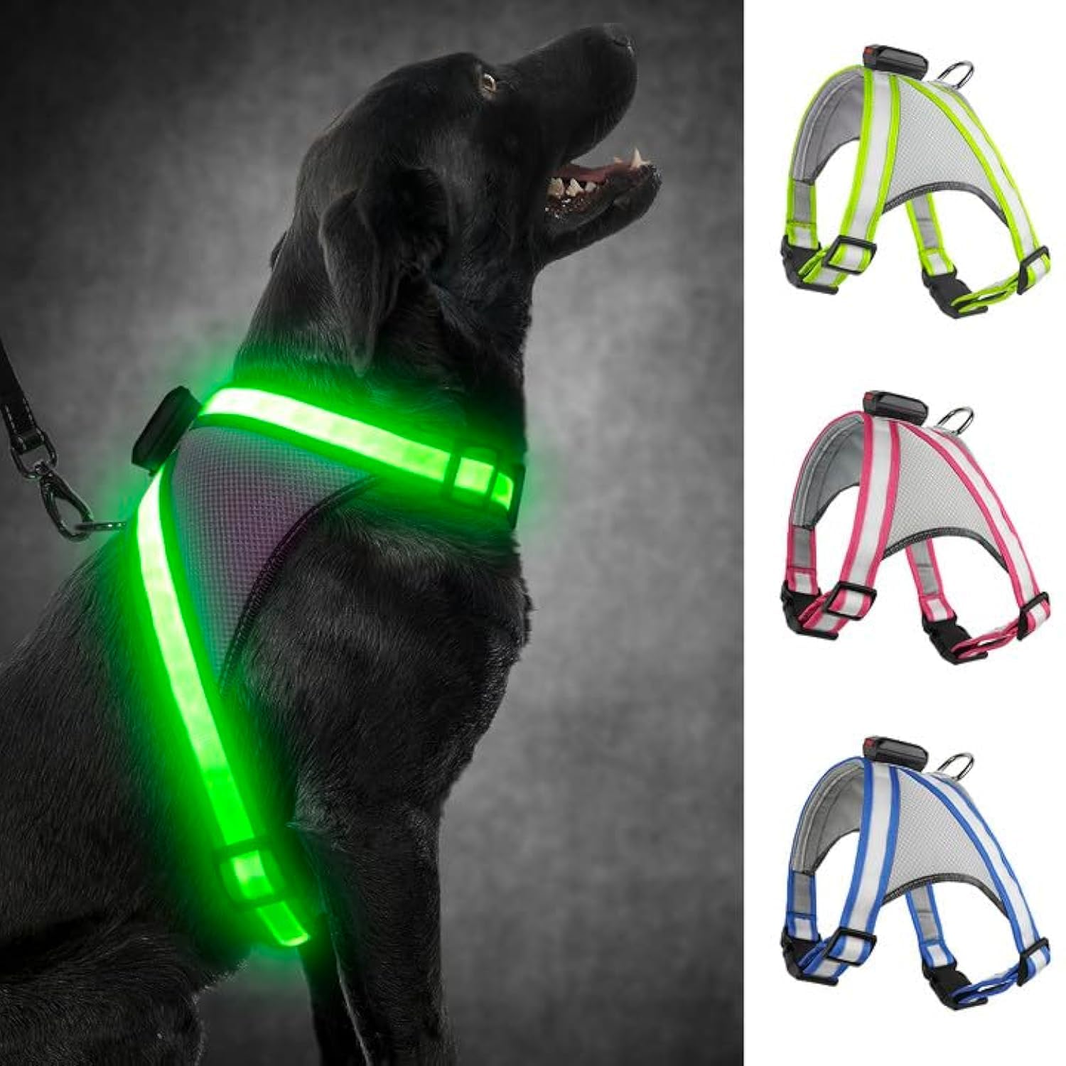Visinite LED Dog Harness with 360-degree visibility for safer night walks.