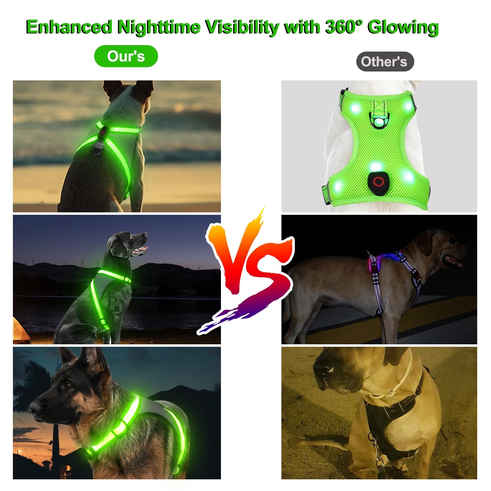 Visinite harness showing adjustable straps and two buckles for secure fit.