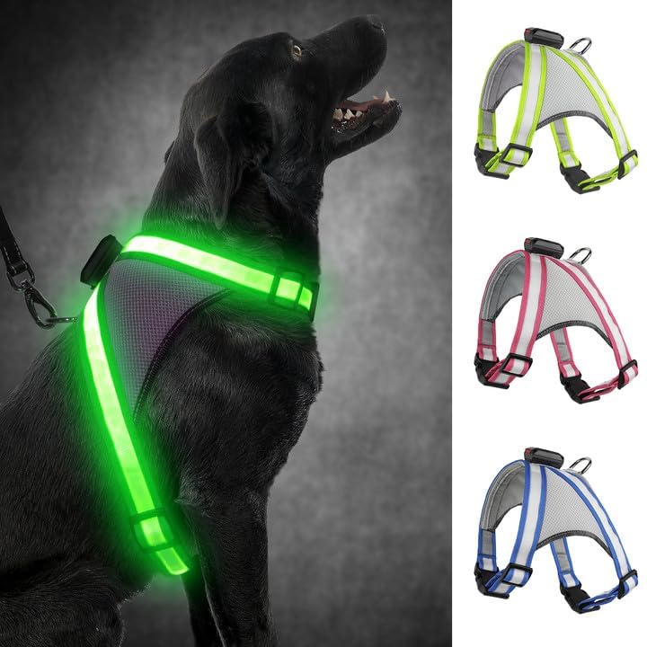 Visinite LED Dog Harness charging via USB battery case for quick power.