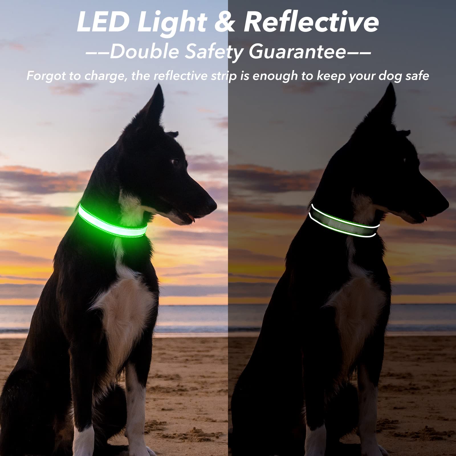 Visinite light up dog collar shows reflective stitching for 360° safety.