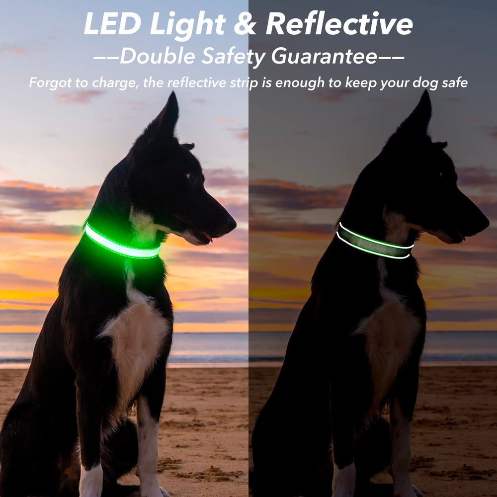 Visinite light up dog collar shows reflective stitching for 360° safety.