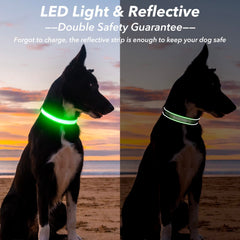 Visinite light up dog collar shows reflective stitching for 360° safety.
