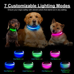 Visinite Light Up Dog Collar side neon glow enhances visibility in low light.