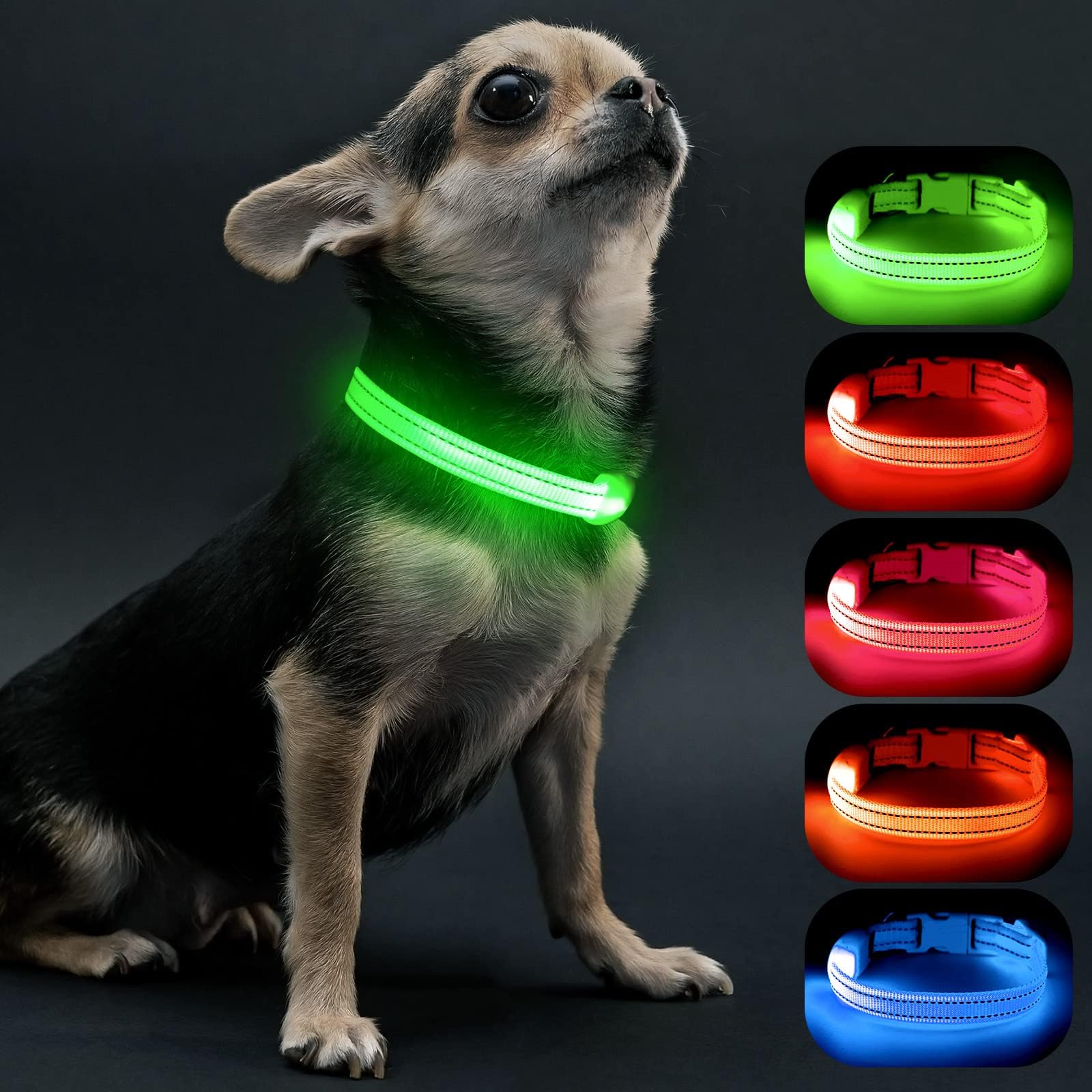 Visinite light-up collar for small dogs glows for safer night walks